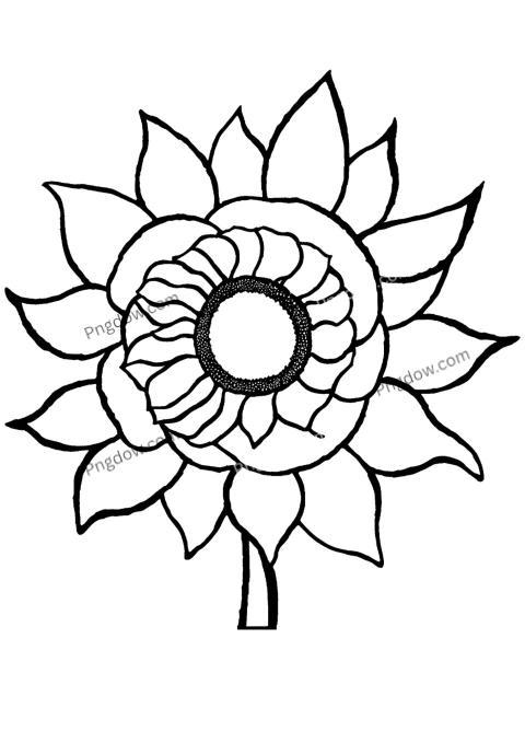 Sunflower coloring page for kids with large flower and leaves outline to color
