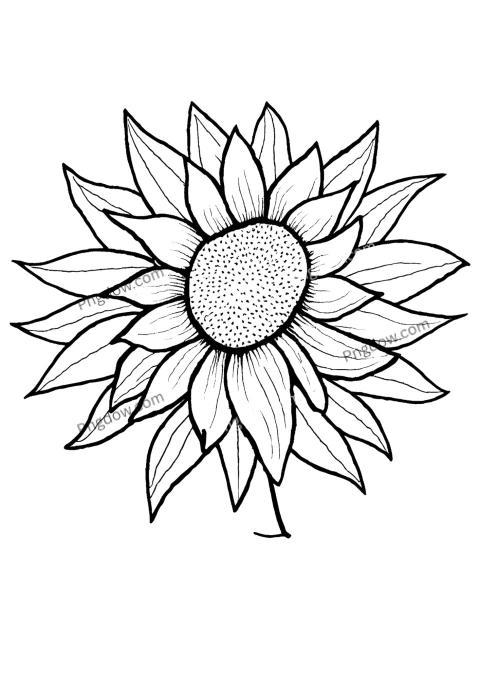 Free sunflower coloring page with a beautiful sunflower illustration