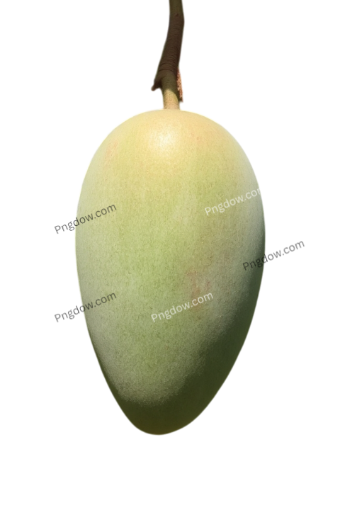 mango png image hd