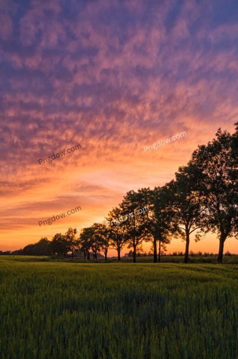 Premium Nature Landscapes Background for Free, (14)