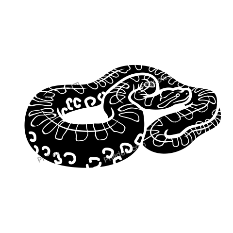Anaconda Png Transparent For Free Download, (47)