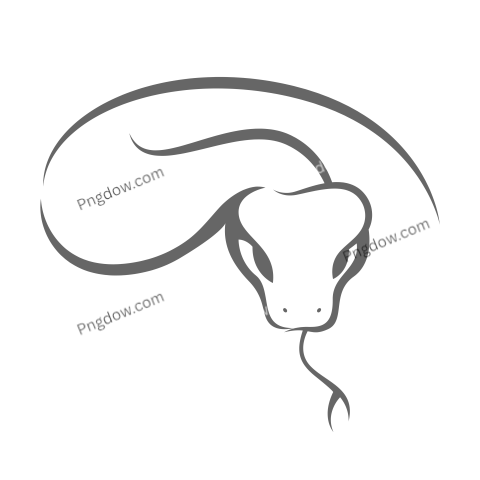Anaconda Png Transparent For Free Download, (34)
