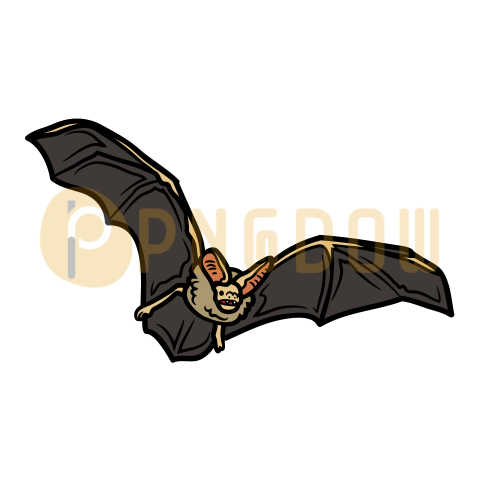 Bat Png Transparent Background, for Free Vector, (8)