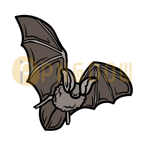 Bat Png Transparent Background, for Free Vector, (13)