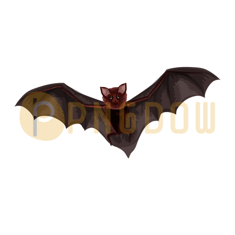 Bat Png Transparent Background, for Free Vector, (28)