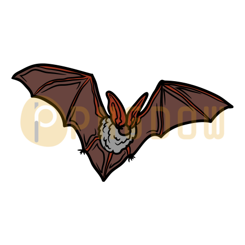 Bat Png Transparent Background, for Free Vector, (45)