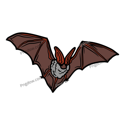 Bat Png Transparent Background, for Free Vector, (45)