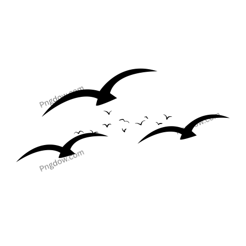 Birds Png image with transparent background for free, Birds, (122)