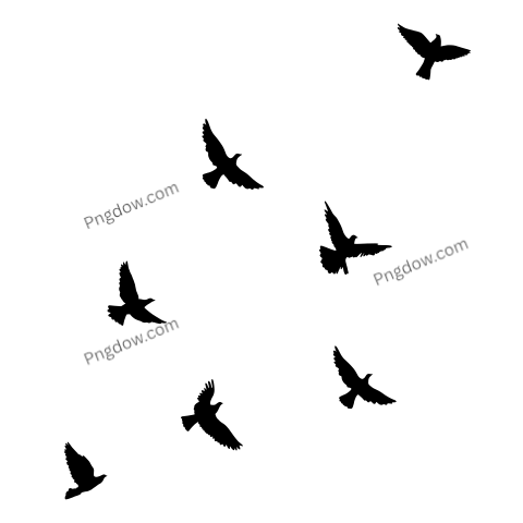 Birds Png image with transparent background for free, Birds, (127)