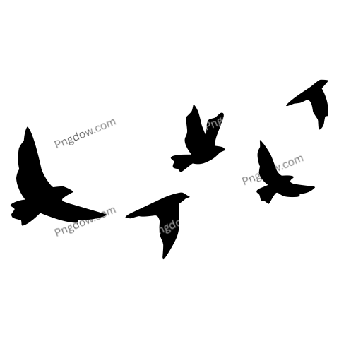 Birds Png image with transparent background for free, Birds, (130)