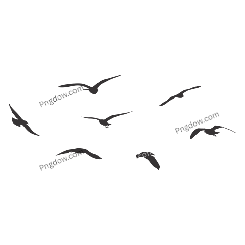 Birds Png image with transparent background for free, Birds, (95)