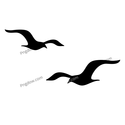 Birds Png image with transparent background for free, Birds, (109)