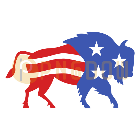 Bison Png image with transparent background for free, Bison, (38)