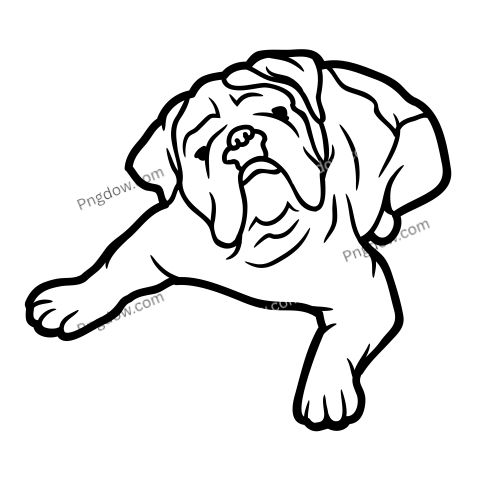 Bulldog Png image with transparent background for free, Bulldog, (17)