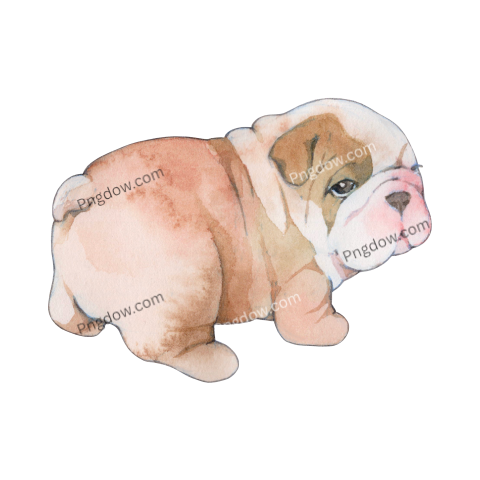 Bulldog Png image with transparent background for free, Bulldog, (2)