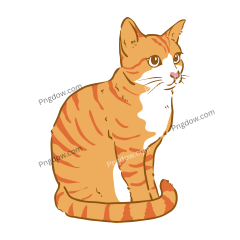 Cats Png image with transparent background for free, Cats, (29)
