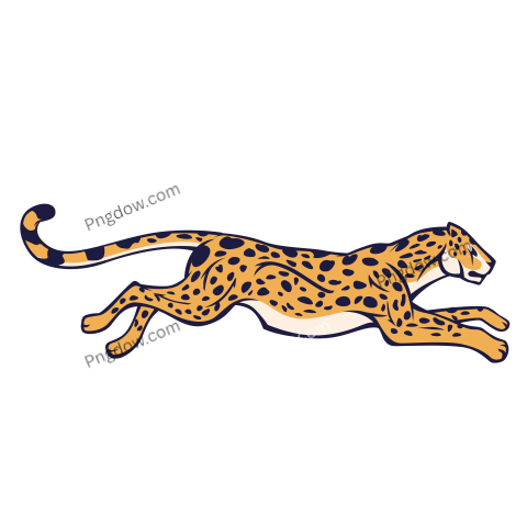 Cheetah Png image with transparent background for free, Cheetah, (33)
