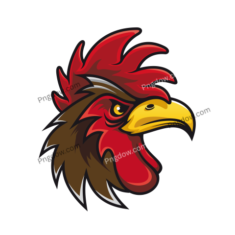 Cock Png image with transparent background for free, Cock, (27)