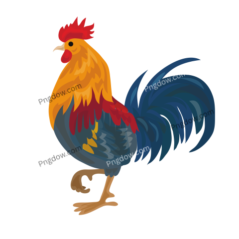 Cock Png image with transparent background for free, Cock, (22)