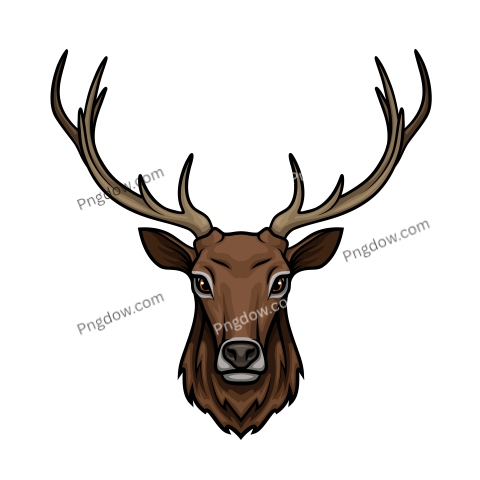 Deer Png image with transparent background for free, Deer, (7)