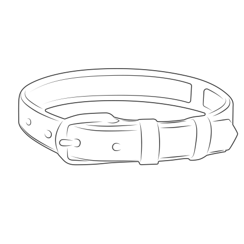 Dog collar Png image with transparent background for free, Dog collar, (32)