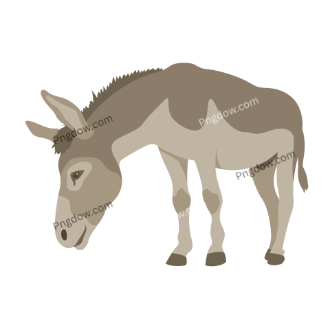 Donkey Png image with transparent background for free, Donkey, (6)