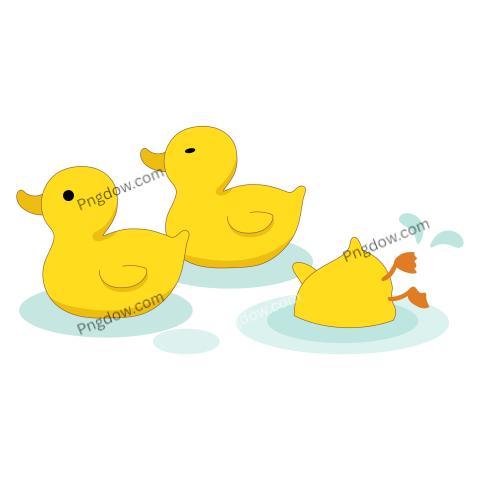 Duck Png image with transparent background for free, Duck, (18)