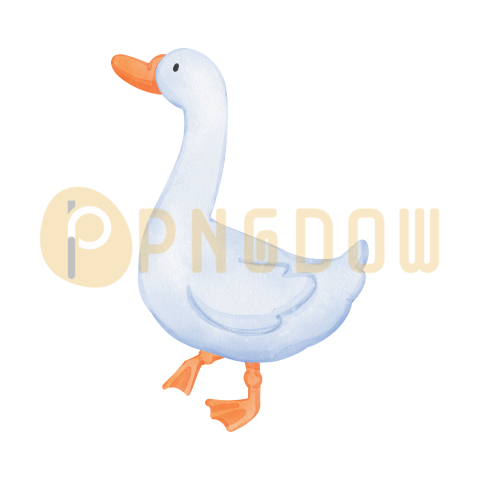 Duck Png image with transparent background for free, Duck, (13)