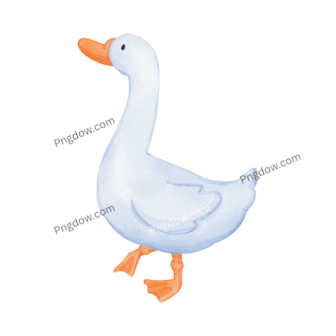 Duck Png image with transparent background for free, Duck, (13)