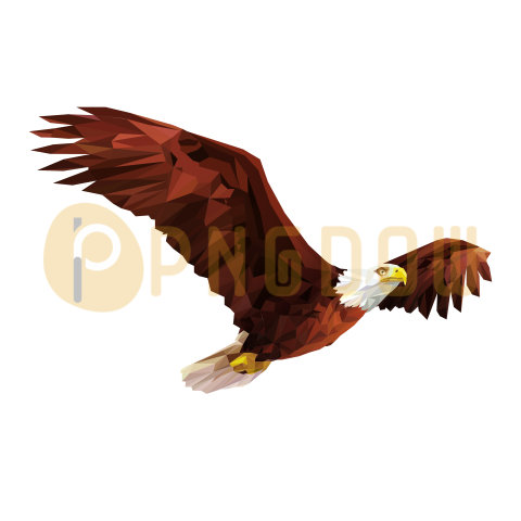 Eagle Png image with transparent background for free, Eagle, (3)