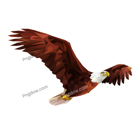 Eagle Png image with transparent background for free, Eagle, (3)