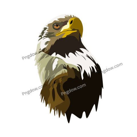 Eagle Png image with transparent background for free, Eagle, (2)