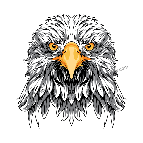Eagle Png image with transparent background for free, Eagle, (6)
