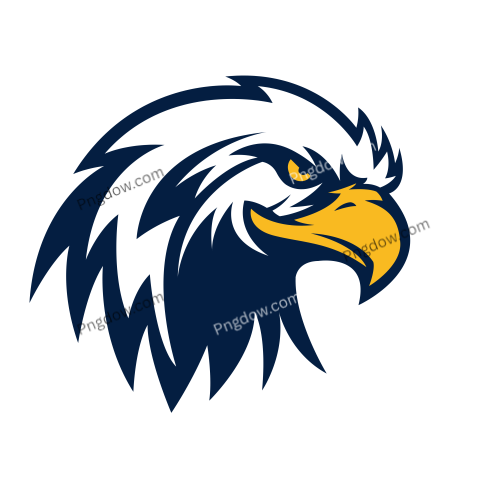 Falcon Png image with transparent background for free, Falcon, (14)