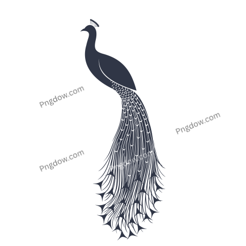Feather Png image with transparent background for free, Feather, (2)