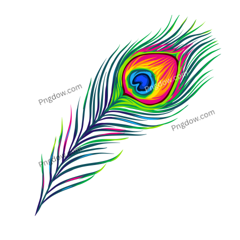 Feather Png image with transparent background for free, Feather, (21)