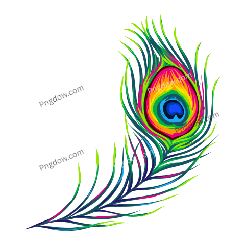 Feather Png image with transparent background for free, Feather, (18)