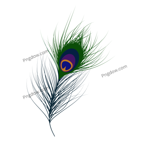 Feather Png image with transparent background for free, Feather, (19)