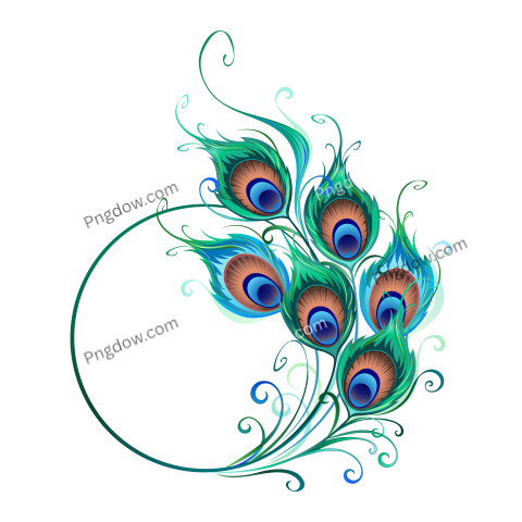 Feather Png image with transparent background for free, Feather, (30)