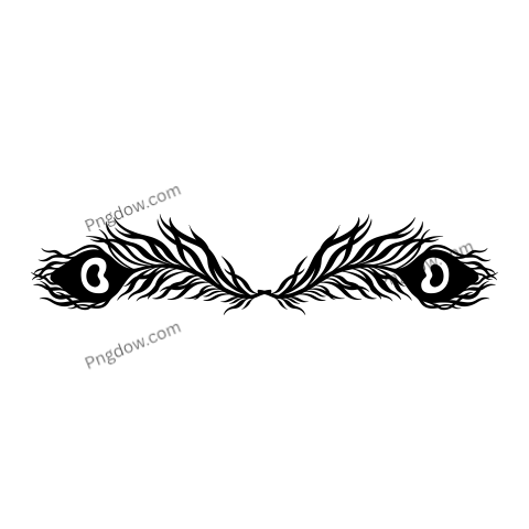 Feather Png image with transparent background for free, Feather, (5)