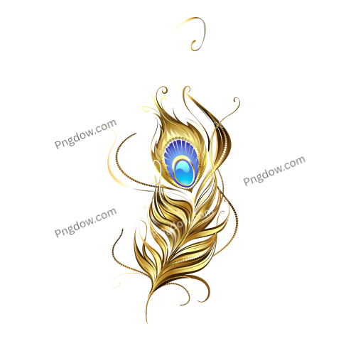 Feather Png image with transparent background for free, Feather, (9)