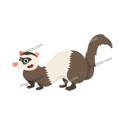 Ferret Png transparent Background for free (4)
