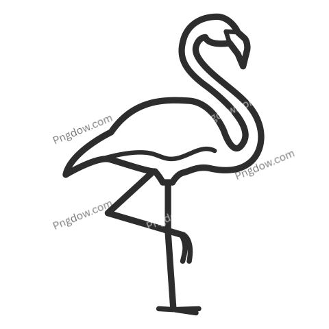 Flamingo PNG images for Free Download