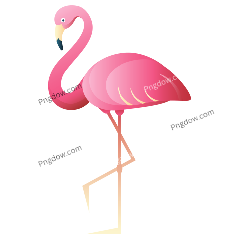 Pink Flamingo Watercolor Illustration