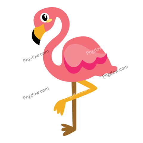 Flamingo Illustration