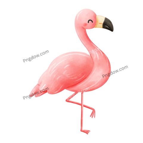 Flamingo illustration Watercolor style
