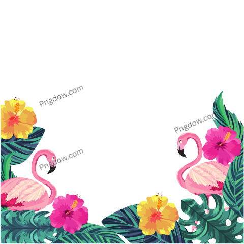 Tropical Flamingos Cartoon, transparent background for Free Download
