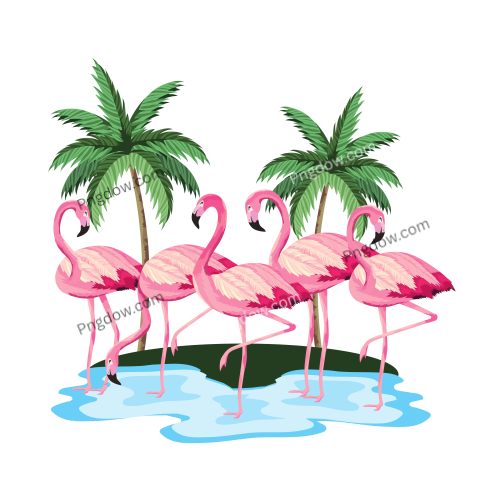 Tropical Flamingos Cartoon, for Free Download