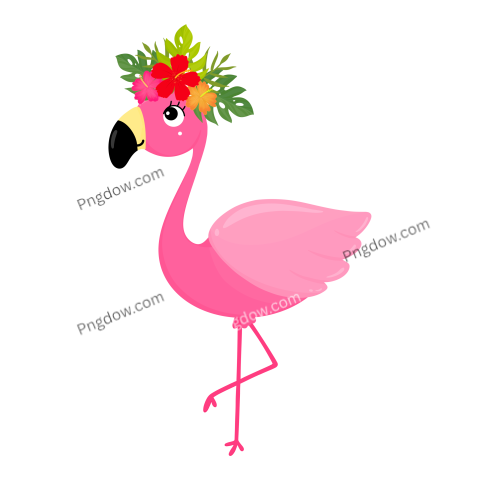 Pink Flamingo, Tropical birds