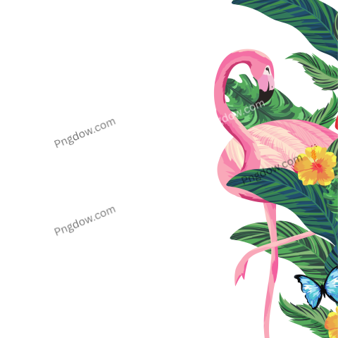 Tropical Flamingo Cartoon PNG transparent background for Free